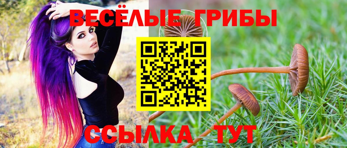 Галлюциногенные грибы GOLDEN TEACHER Аргун