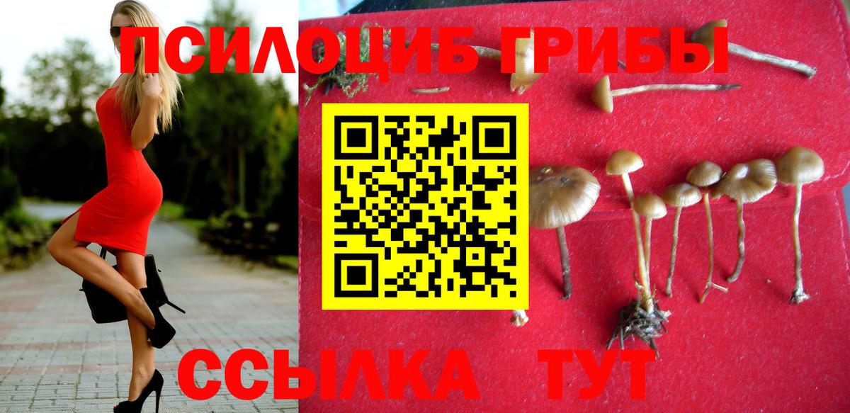 Аргун  Псилоцибиновые грибы MAGIC MUSHROOMS  Вход с VPN 