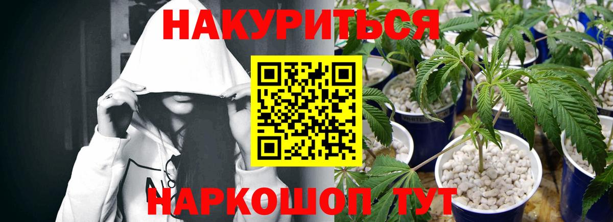 Конопля Bruce Banner Аргун